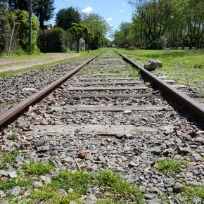 «AHÍ VA MIGUEL» Por Maxi&nbsp;Ciruzzi