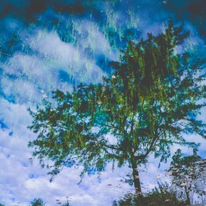 «YO NO SOY UN&nbsp;POETA»