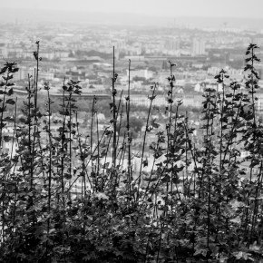 «A LA LIBRE INTERPRETACION» de Maca&nbsp;Constantini