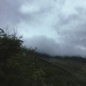 A tu odio – Por Galit&nbsp;Bixio