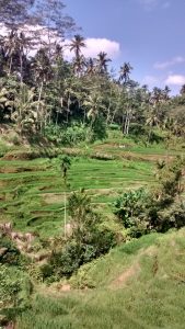 IMG_20160525_130642159_HDR-169x300