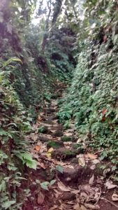 IMG_20160525_135418707_HDR-169x300