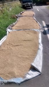 IMG_20160525_141358458_HDR-169x300