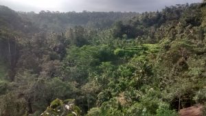 IMG_20160525_160957616_HDR-300x169