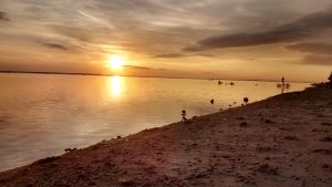 IMG_20160601_175234118_HDR-300x169