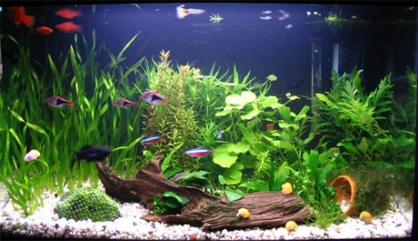 1d4cd07eadcdc161303dd169e4175ddf