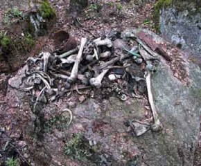 MAYO – Por Claudia&nbsp;Gorenstein