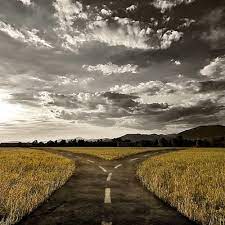 Vivimos en sociedad y somos dueños de nuestras decisiones – Por Ana Laura&nbsp;Bogado