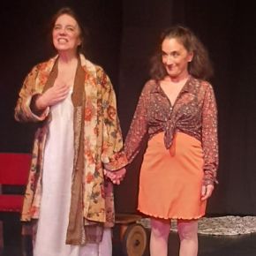 LA DÉBIL MENTAL- Dirección: Carmen  Baliero- Por Lic. Mariana&nbsp;Wassner